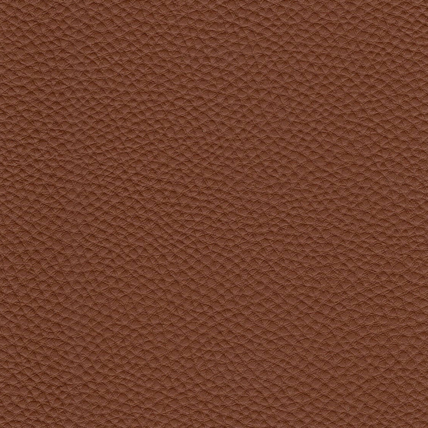 Ali Pad